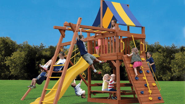Original Fort playset with monkey bars.