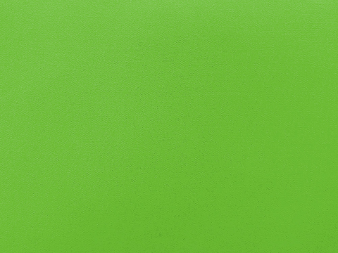 Cacoon Saucer Swing - Earth Green