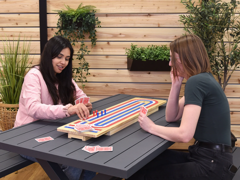 Giant Cribbage Game