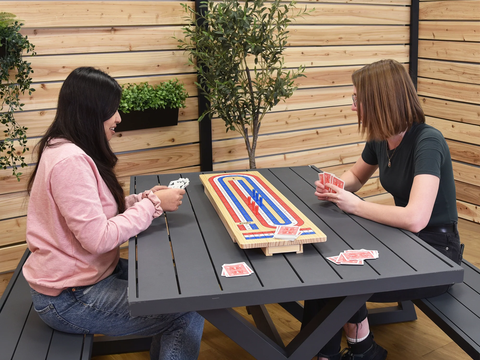 Giant Cribbage Game